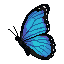 Blue morpho pixel butterfly